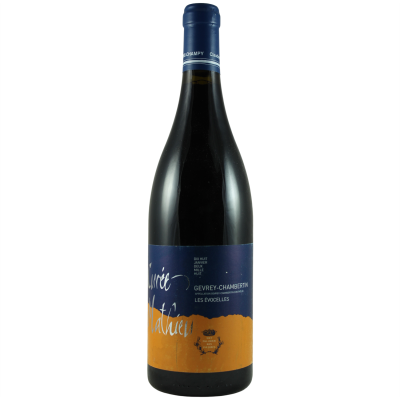 Gevrey-Chambertin Rouge 2008 - Domaine Moine-Champy