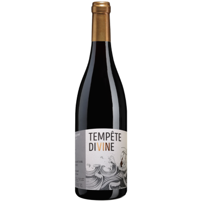 Brouilly Tempête Divine Rouge 2019 - Domaine Dupond