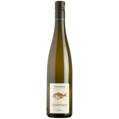 Alsace Cuvée Gyotaku Blanc 2022 - Terres d'étoiles