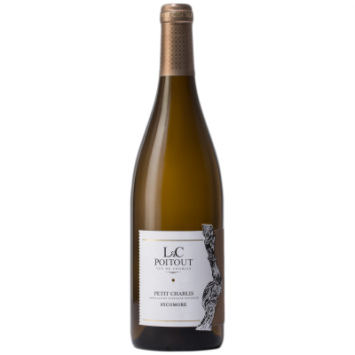 Petit Chablis Sycomore Blanc 2022 - Domaine LC Poitout
