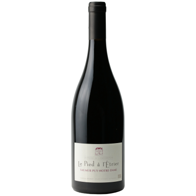 Saumur Puy-Notre-Dame Pied à l'Etrier Rouge 2016 - Domaine de l'Enchantoir