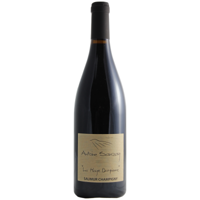 Saumur-Champigny La Haye Dampierre Rouge 2019 - Domaine Antoine Sanzay