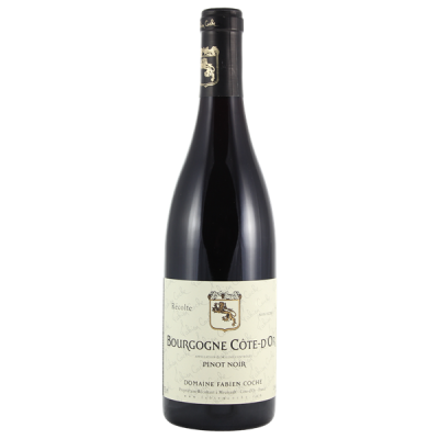 Bourgogne Côte-d'Or Pinot Noir Rouge 2023 - Domaine Fabien Coche