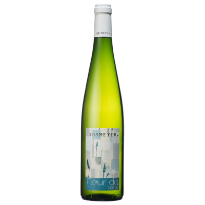 Fleur de Lotus Blanc - Maison Josmeyer