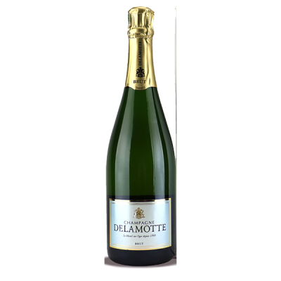 Champagne Brut ETUI Blanc - Champagne Delamotte