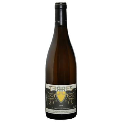 Saumur Terres - Cuvée en Amphore Blanc 2019 - Domaine des Roches Neuves