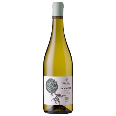 Côtes Catalanes Echinops Blanc 2024 - Dom Brial