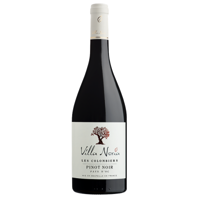 Pays d'Oc Les Colombiers Pinot Noir Rouge - Villa Noria