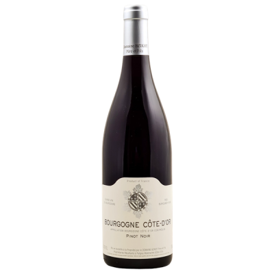 Bourgogne Côte-d'Or Rouge 2022 - Domaine Bzikot