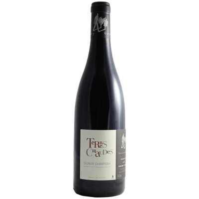 Saumur-Champigny Terres Chaudes Rouge 2020 - Domaine des Roches Neuves
