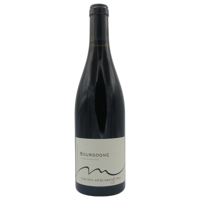 Bourgogne Pinot Noir Rouge 2023 - Domaine Lucien Muzard et Fils