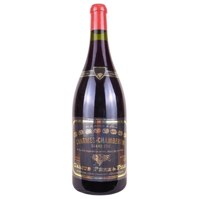 Charmes-Chambertin MAGNUM Rouge 2017 - Domaine Camus Père & Fils