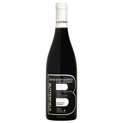 Nuits-Saint-Georges Rouge 2020 - Domaine David Butterfield