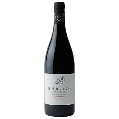 Bourgogne Coulanges-la-Vineuse Rouge 2023 - Domaine Bon et Fils
