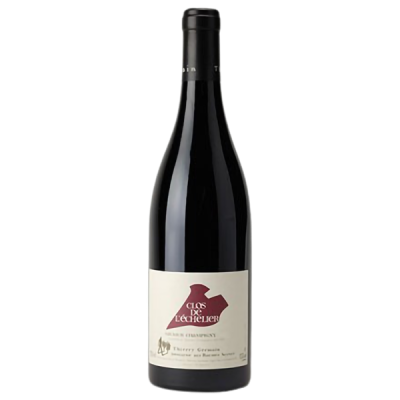 Saumur-Champigny Clos de L'Echelier Rouge 2017 - Domaine des Roches Neuves