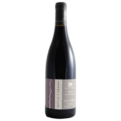 Saumur-Champigny Franc de Pied Rouge 2022 - Domaine des Roches Neuves