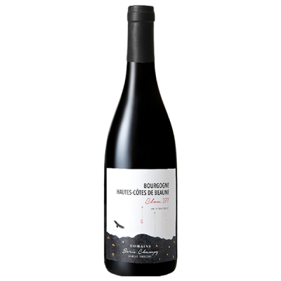 Bourgogne Hautes Côtes de Beaune Clou 377 MAGNUM Rouge 2020 - Domaine Boris Champy