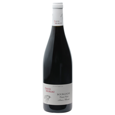 Bourgogne Pinot Noir Sous Montot Rouge 2022 - Domaine David Moreau