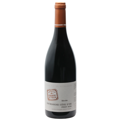 Bourgogne Côte-d'Or Pinot Noir Rouge 2019 - Domaine des Terres de Velle