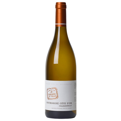 Bourgogne Côte-d'Or Chardonnay Blanc 2021 - Domaine des Terres de Velle