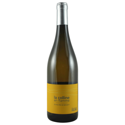 Côte Roannaise Colline en Flamme Blanc 2023 - Domaine des Pothiers