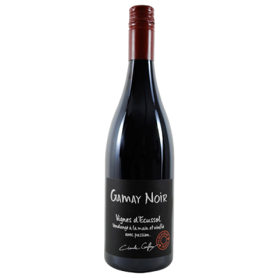 Beaujolais Villages Gamay Noir Rouge 2021 - Château Thivin