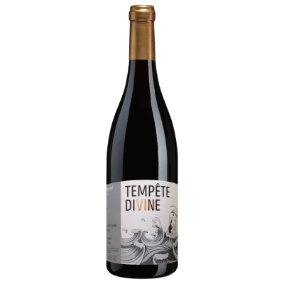 Brouilly Tempête Divine Rouge 2022 - Domaine Dupond