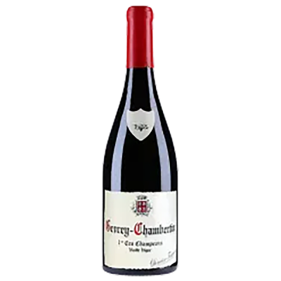 Santenay Sous la Roche Blanc 2023 - Domaine Rémi Jobard
