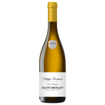 Saint-Romain Blanc 2023 - Philippe Bouchard