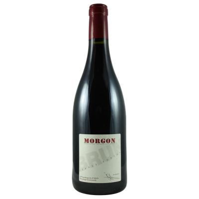 Morgon Rouge 2024 - Domaine des Terres Dorées - Jean-Paul Brun