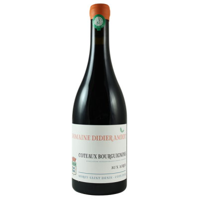 Côteaux Bourguignons Rouge 2021 - Domaine Didier Amiot