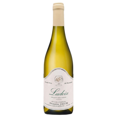 Ladoix Blanc 2022 - Domaine Jacob