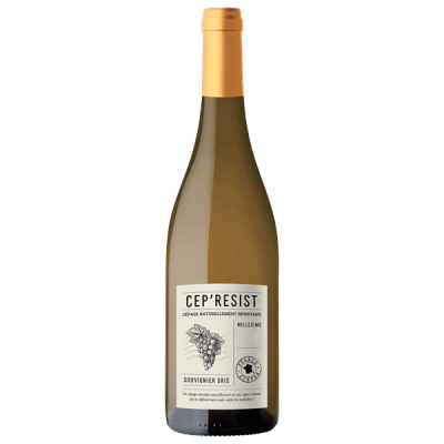 Atlantique Cep'Resist Souvignier Gris Blanc 2025 - Tutiac