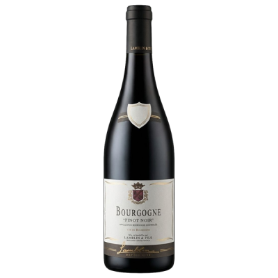 Bourgogne Pinot Noir Rouge 2023 - Lamblin fils