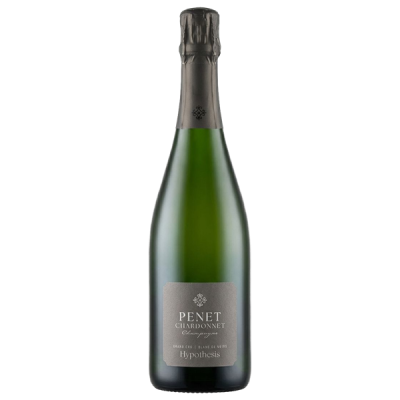Champagne Grand Cru Hypothesis Blanc de Noirs Réserve Perpétuelle Brut Nature - Penet-Chardonnet