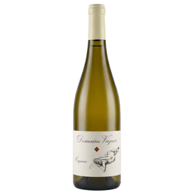 Côtes du Roussillon Esquisse Blanc 2025 - Domaine Vaquer