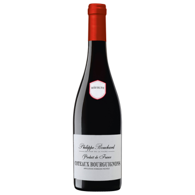 Coteaux Bourguignons Rouge 2024 - Philippe Bouchard