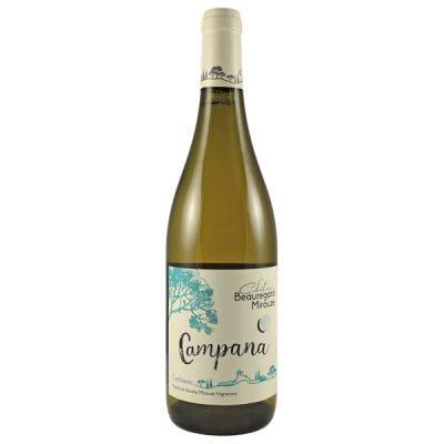 Corbières Campana Blanc 2022 - Château Beauregard-Mirouze