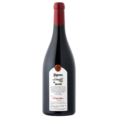 Gigondas Syterres de Bois Neuf Rouge 2021 - Gigondas La Cave