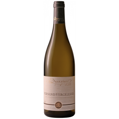 Pernand-Vergelesses Blanc 2019 - Domaine Dupasquier