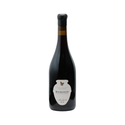 Bourgogne Cuvée Amphore Rouge 2022 - Domaine Michaud Frère et Soeur