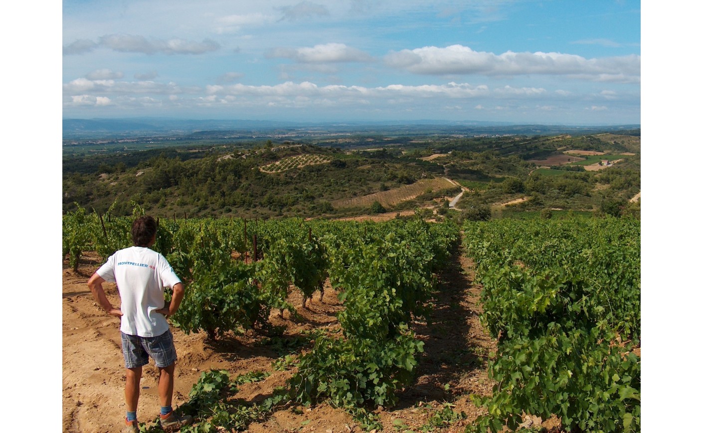 Domaine Combe Blanche, quand un Belge apprend à faire du (bon) vin