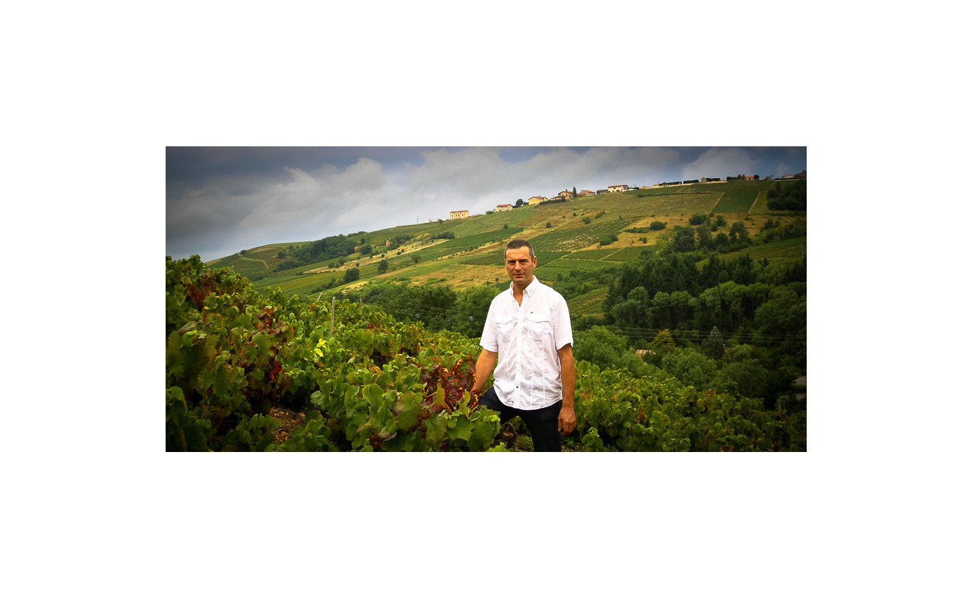 Le Domaine de Rochemure au cœur du Beaujolais