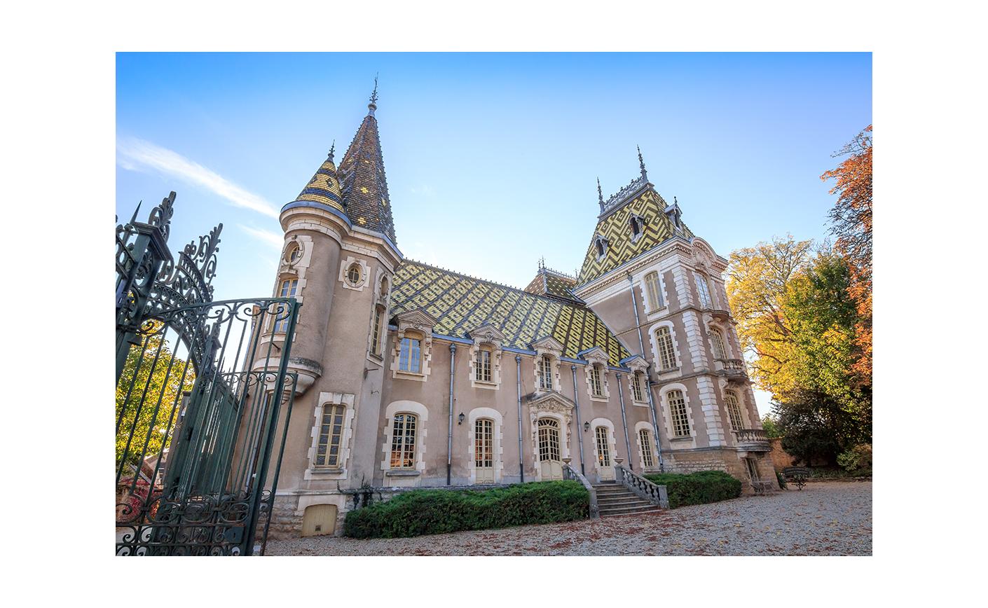 Aloxe-Corton : comprendre l'appellation bourguignonne et ses vins