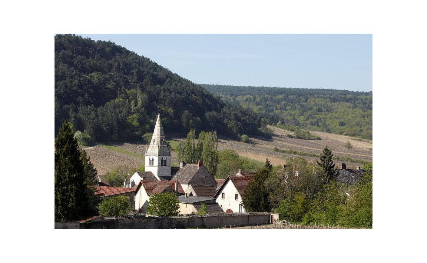 Auxey-Duresses : appellation bourguignonne et style des vins