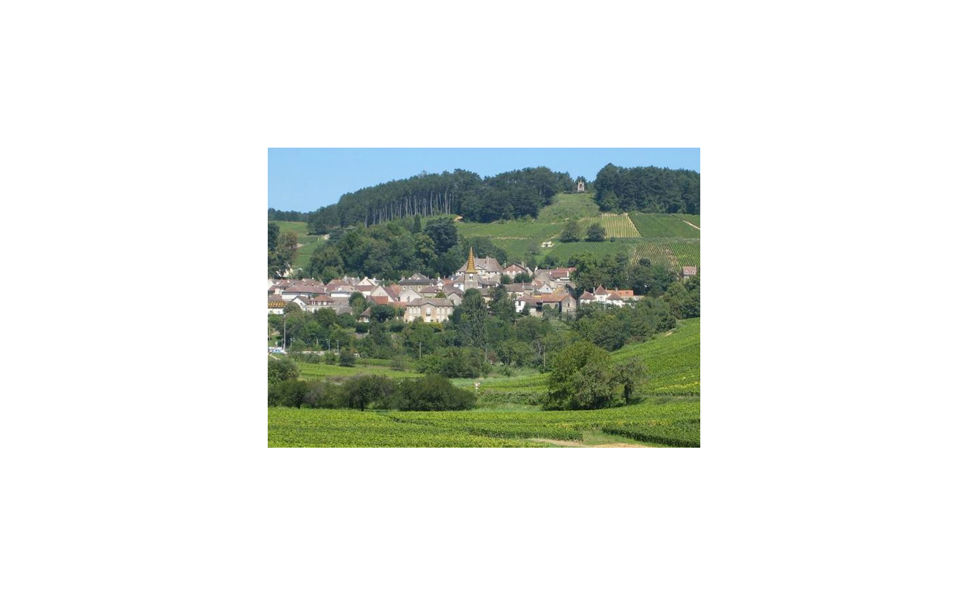Pernand-Vergelesses : appellation bourguignonne et grands crus de Corton