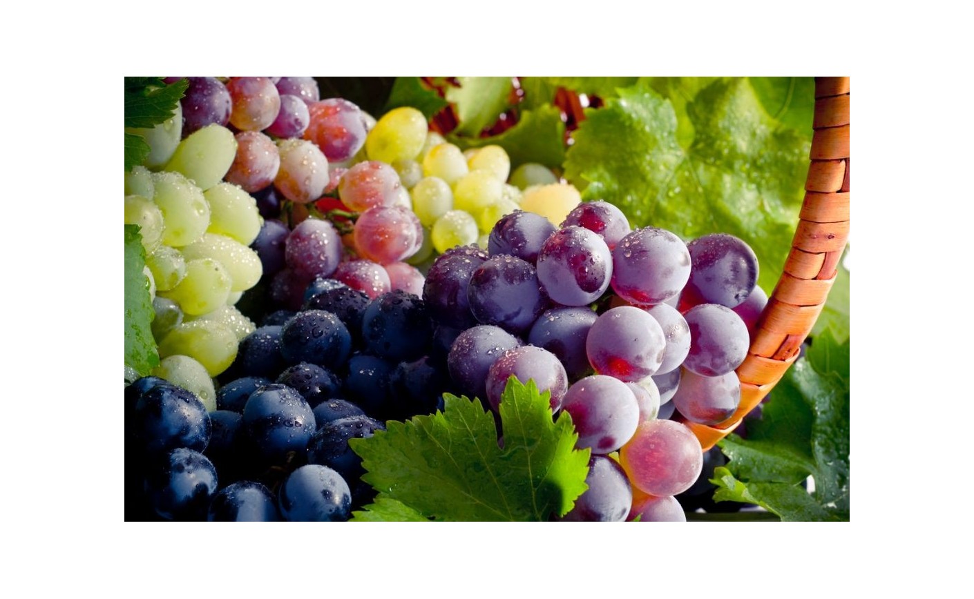 Gewurztraminer vendanges tardives : guide complet d'une signature alsacienne