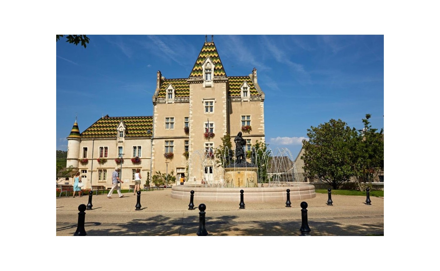 Domaine Roulot Meursault : signature et style des vins