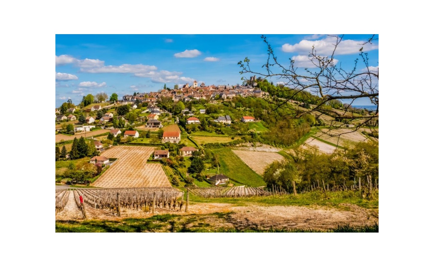Sancerre : guide complet d'une appellation du Val de Loire