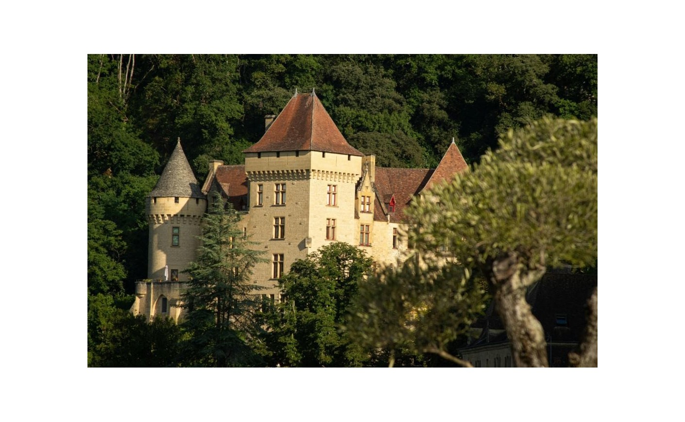 Châteauneuf-du-Pape : appellation, cépages et styles du Rhône